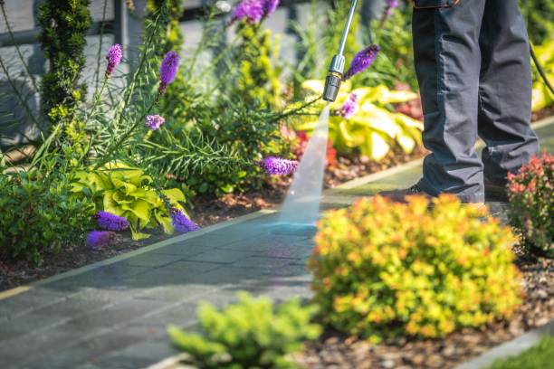 Best Pre-Holiday Cleaning  in Cape May, NJ